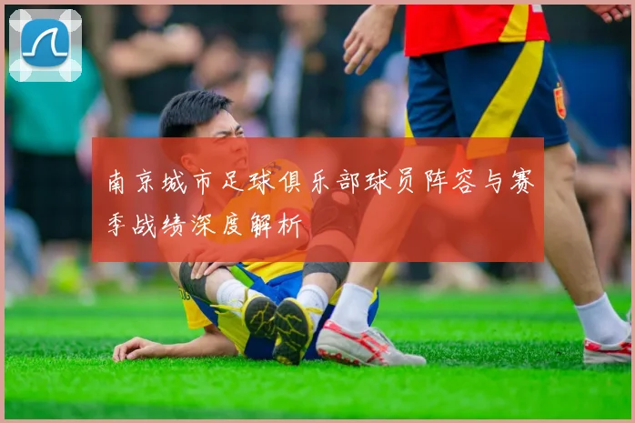 南京城市足球俱乐部球员阵容与赛季战绩深度解析